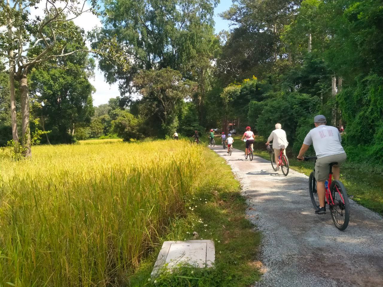 Road Bicycle from Angkor to Sihanouk Ville, Cambodia 9 Days
